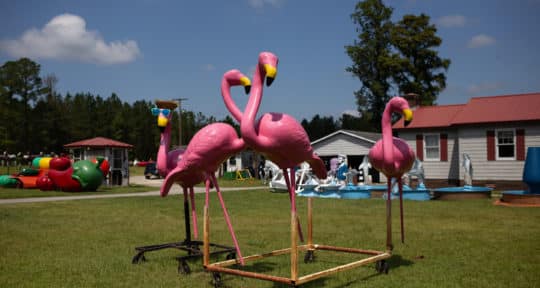 Welcome to Grahamland, where one man dreams of turning his collection of fiberglass statues into a road trip destination