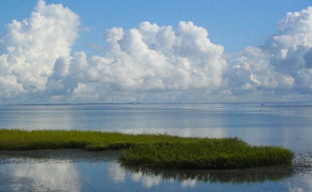 St. Helena Island.