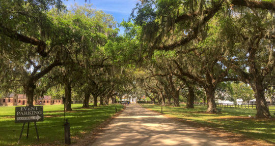 South Carolina’s Gullah culture carries on its West African heritage through crafts, folktales, and music