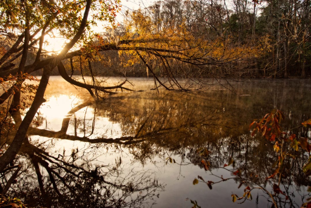 Weston Lake, which is accessible from the boardwalk, is a good place to see wildlife.