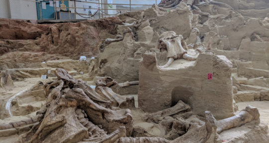 Inside the excavation of a South Dakota sinkhole that swallowed more than 60 mammoths