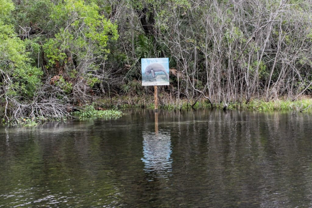 Looking for manatees.