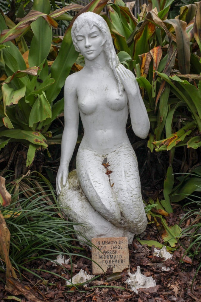 Mermaid Forever.
