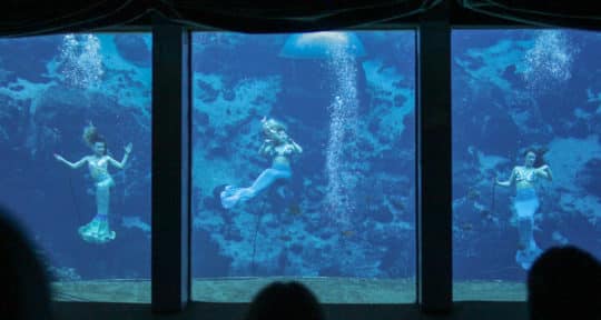 Forget Mickey and Miami—in Western Florida’s Weeki Wachee Springs, mermaids are the main attraction