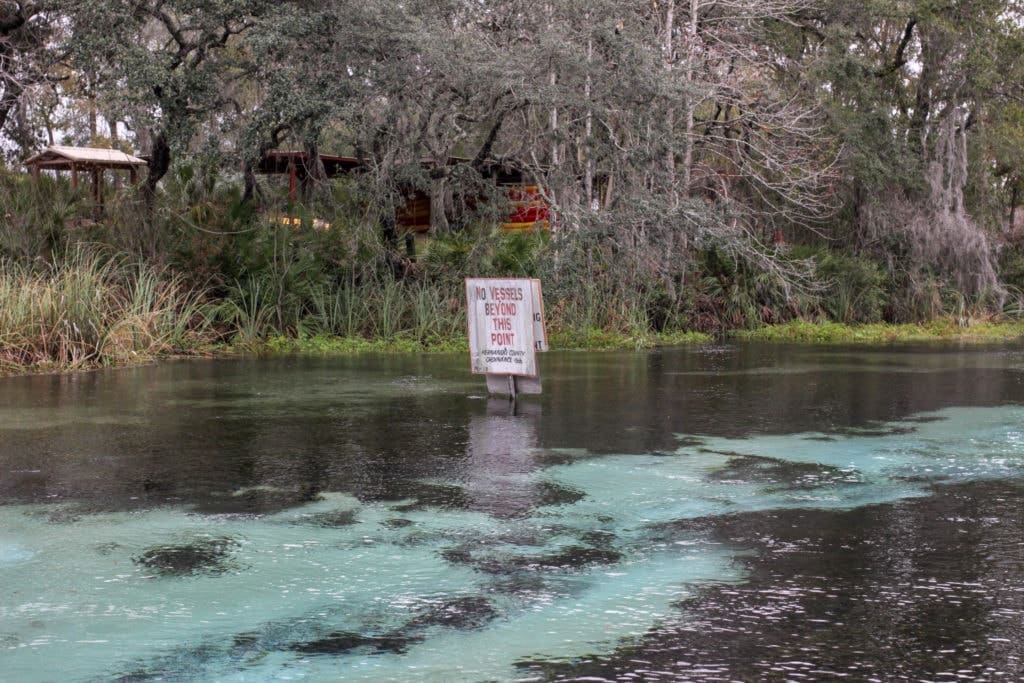 Clear spring water.