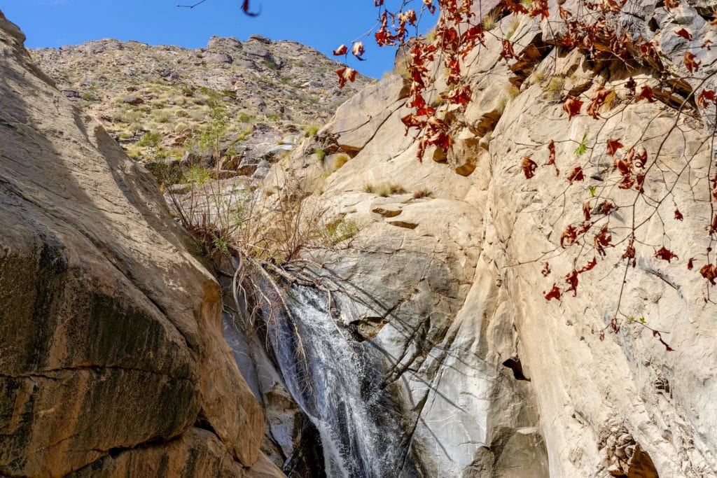 Tahquitz Falls, about a mile hike from the canyon visitor center.