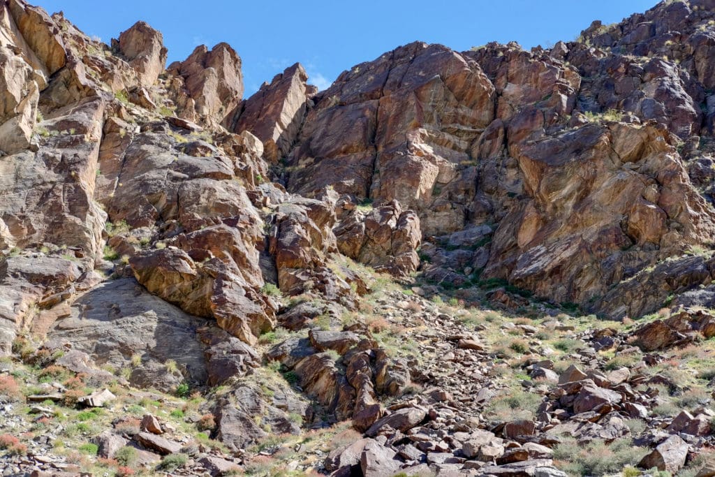 Bighorn sheep and rattlesnakes are commonly seen in the area.