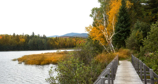Into the woods: The unique conservation story of a Maine hut-to-hut hiking trail