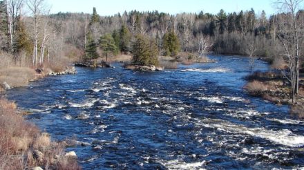 More to see and do in Ontario