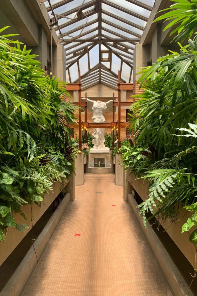 Inside the pergola.