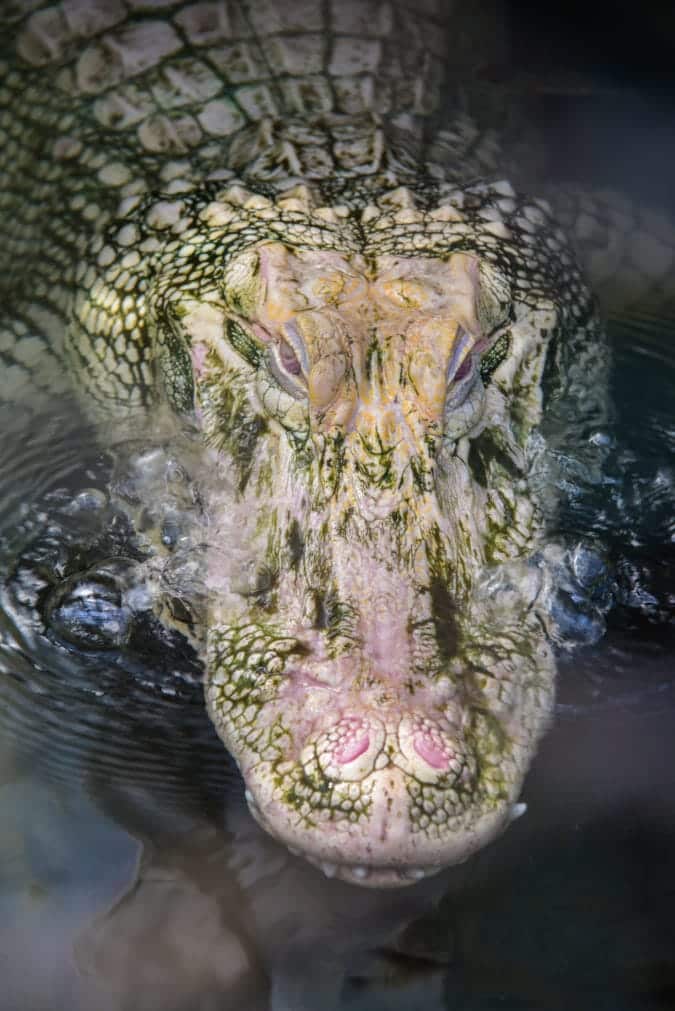 A closeup of Bruce Almighty