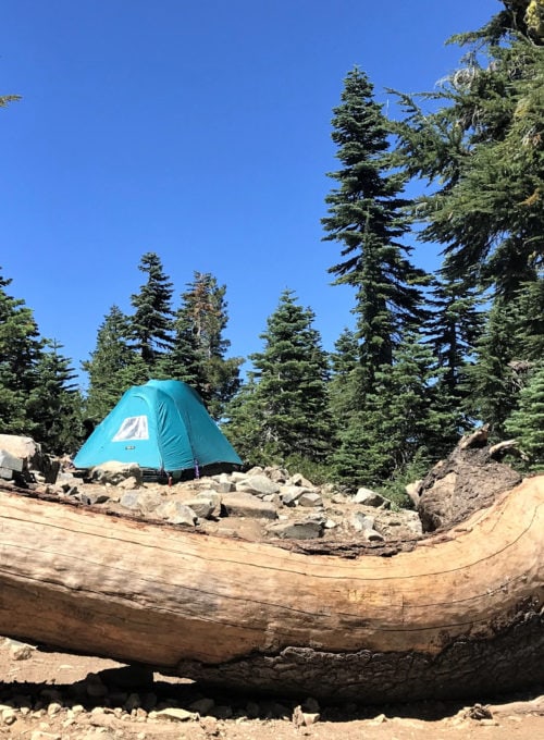 The ultimate guide to RV camping on U.S. Forest Service Land [Togo RV]