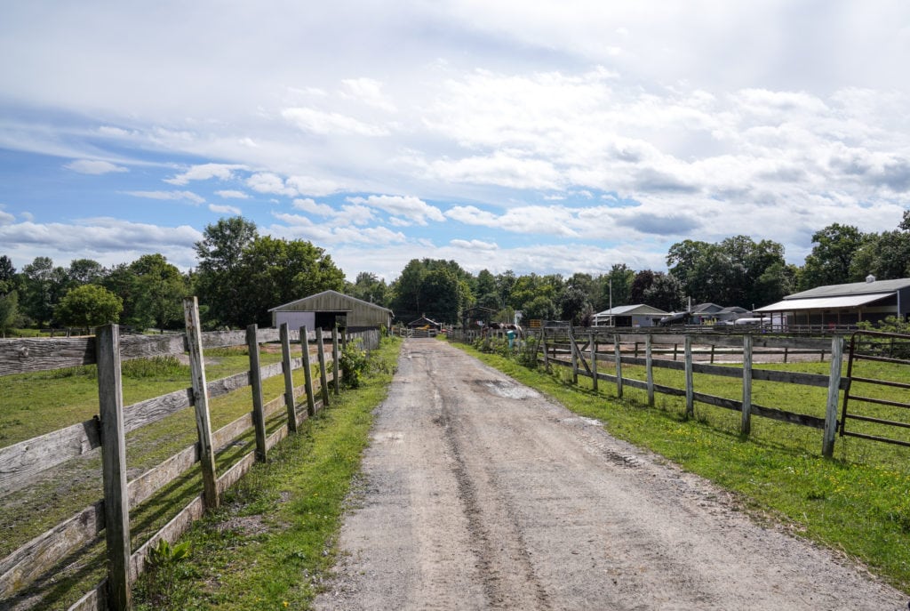 Dakota Ridge Farm.