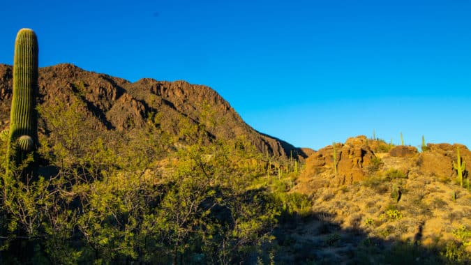 The Red Hills in Saguaro National Park