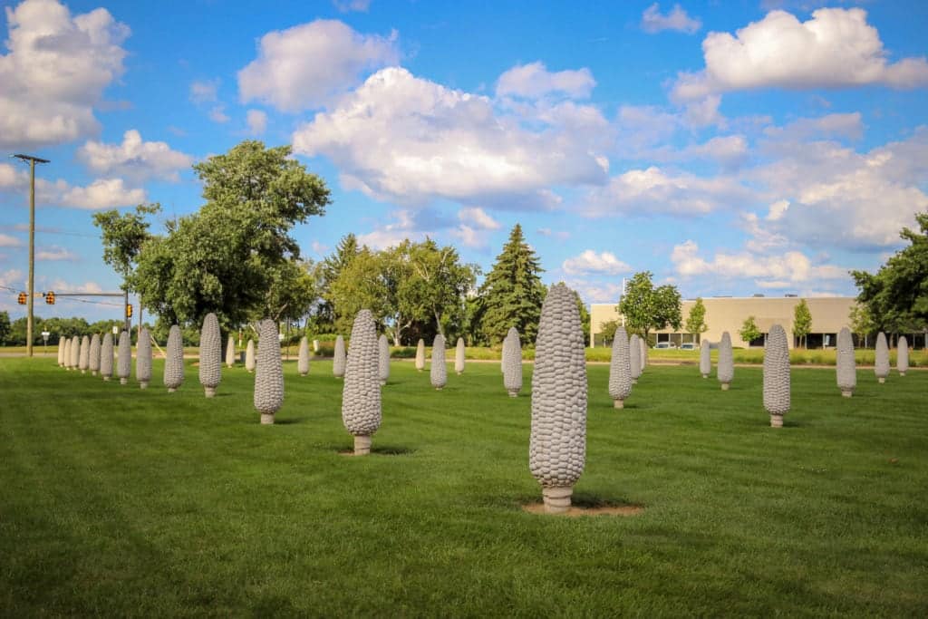 Field of Giant Corn Cobs in Dublin, Ohio