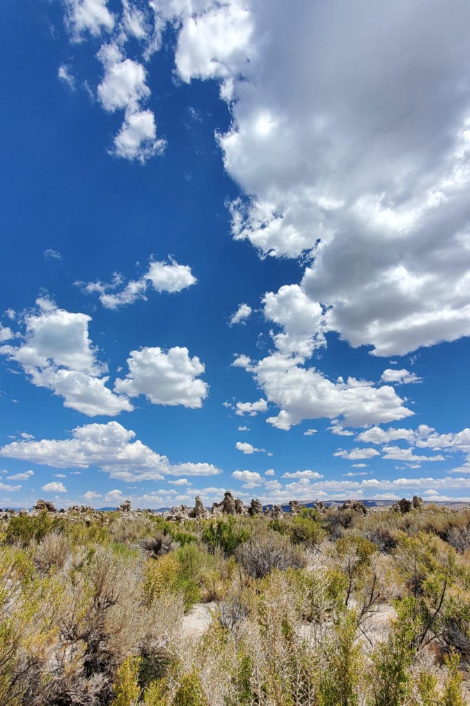 This dry desert landscape holds a host of surprises
