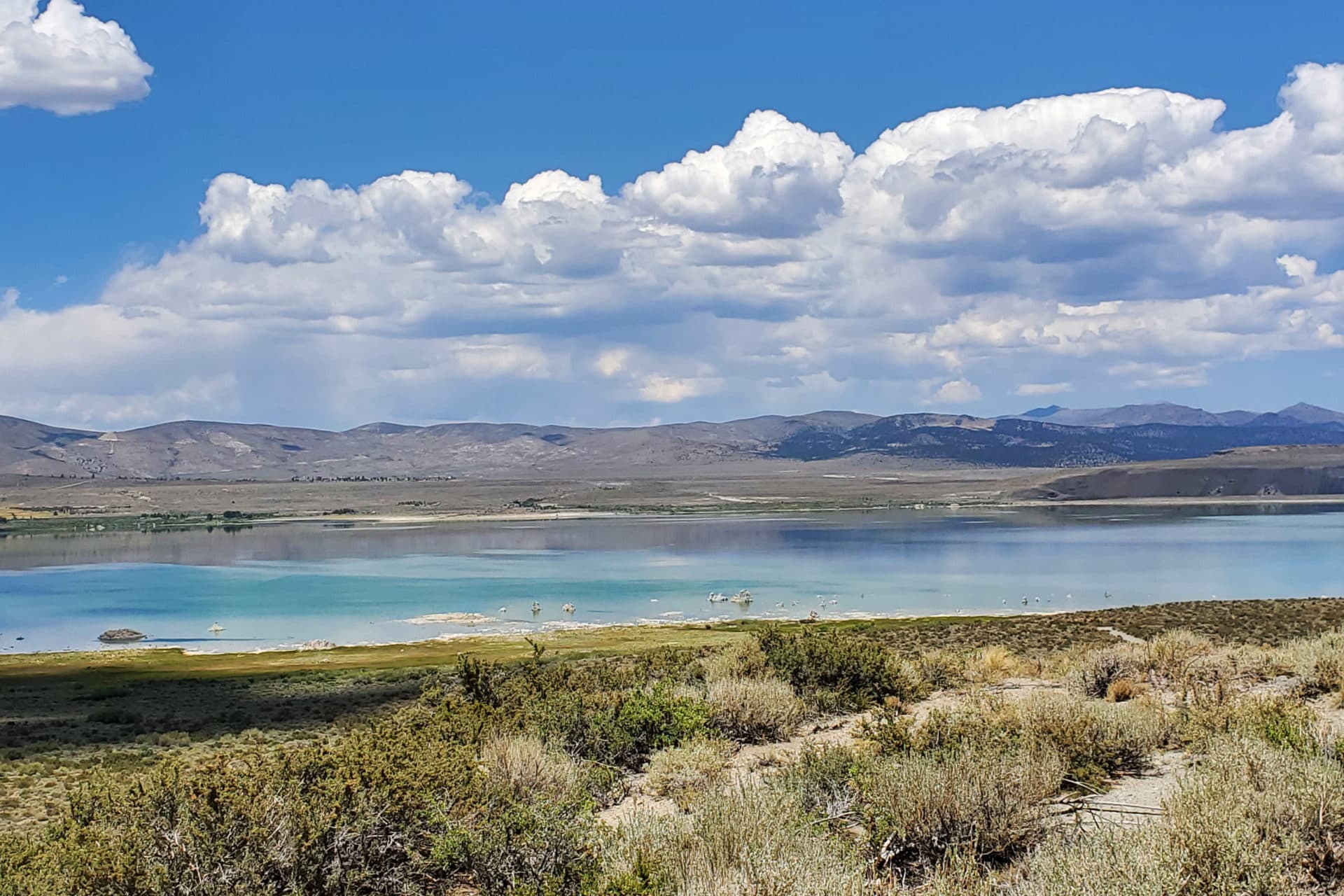 Strolling down Lee Vining Trail which leads to the lake
