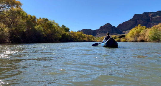 Horses, kayaks, and cacti on Phoenix’s Lower Salt River
