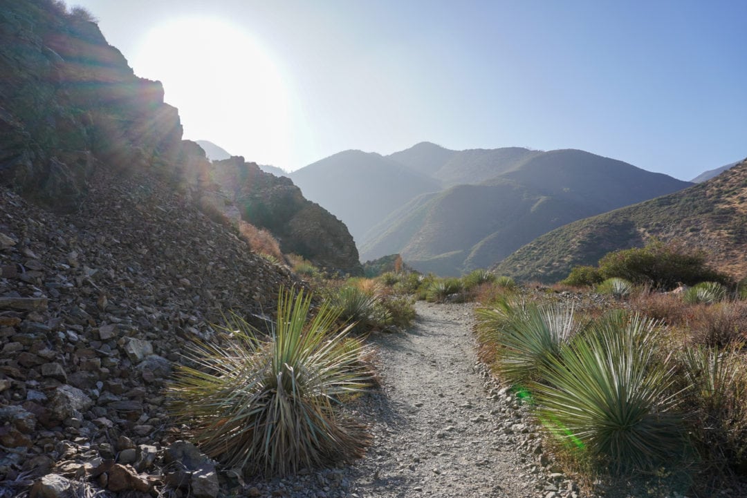 A hiking trail surrounded by mountains and greenery 