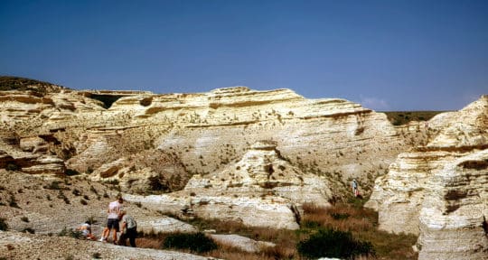 Kansas Fossil Hunting: How and Where to Explore a Fossil Hunter’s Paradise