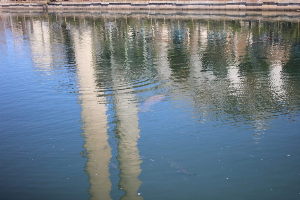 Tampa Electric Manatee Viewing Center in a water reflection