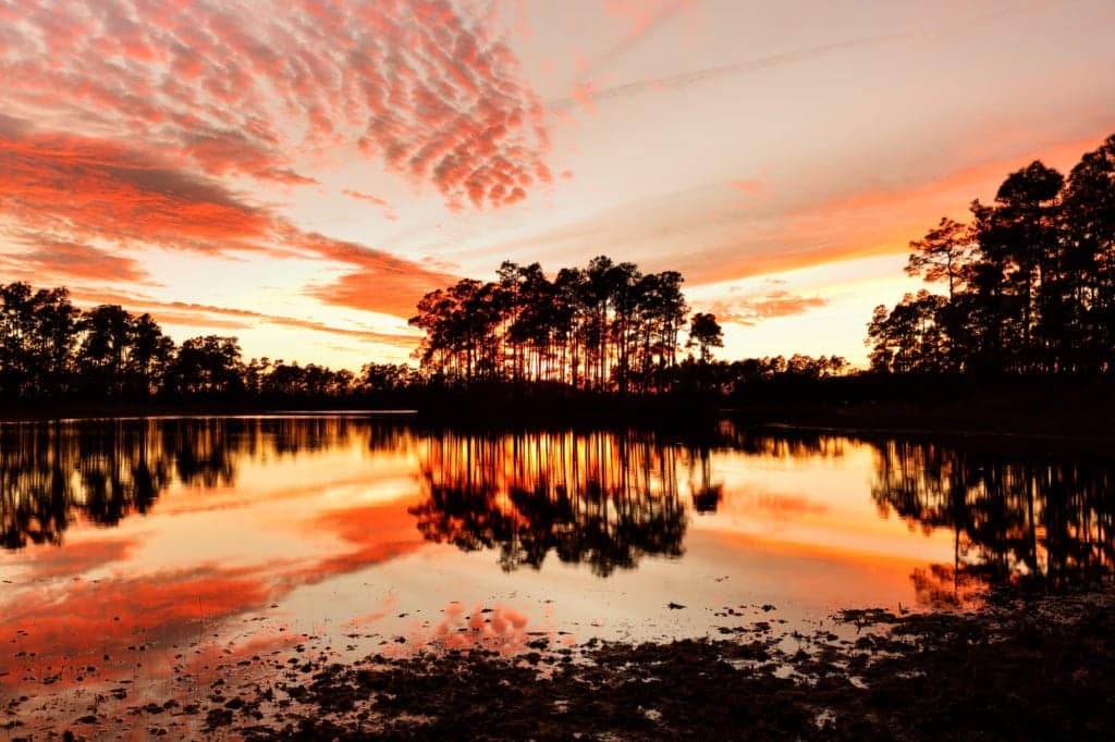 Everglades National Park at sunset