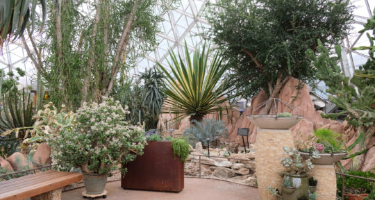A warm oasis: Milwaukee’s Domes recreate ecosystems from around the globe