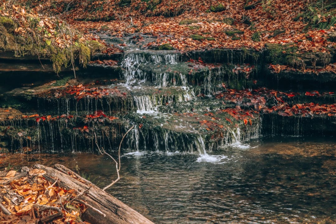 a waterfall cascades over black rocks full of fallen leaves into a body of water