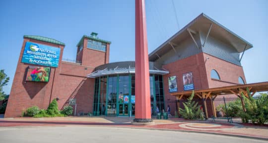 Come for the alligators and stay for the history at Iowa’s National Mississippi River Museum & Aquarium