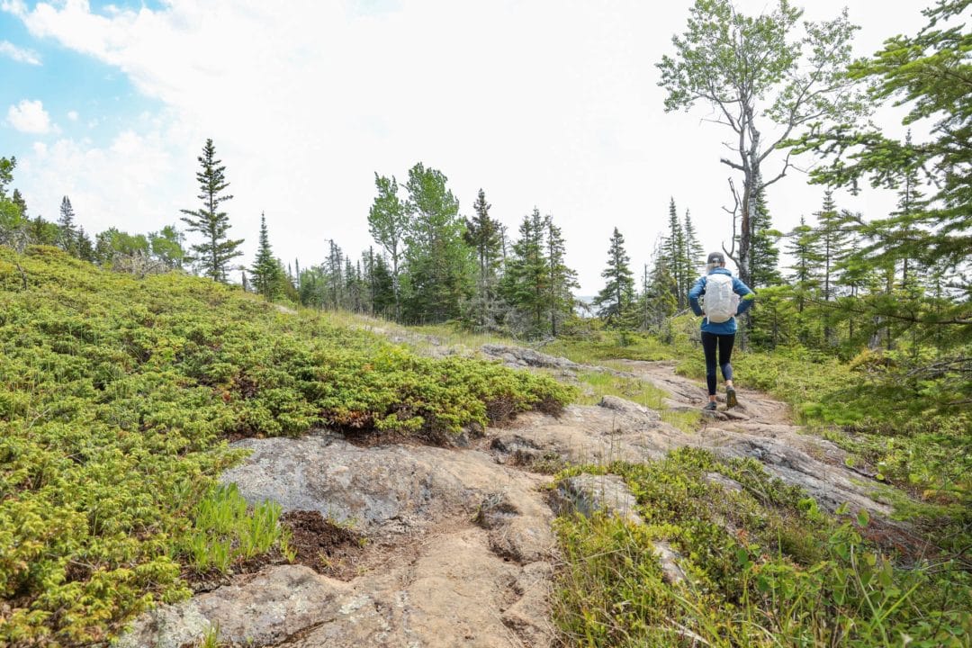 a woman with a backpack stands on a rock surrounded by greenery