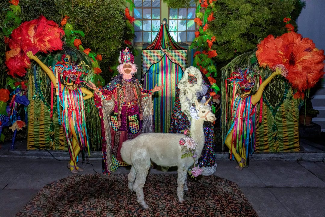 A llama dressed as a unicorn