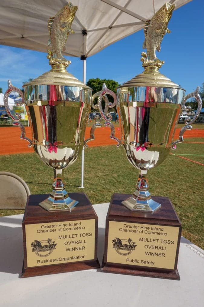 trophies topped with golden fish
