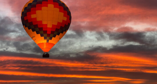 The most memorable ways to explore the Sonoran Desert