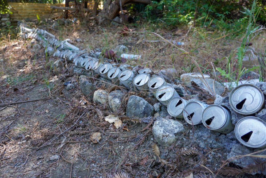 A row of empty beer cans in an overgrown yard