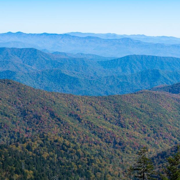 A 57-day road trip to presidential sites, state capitol buildings, and quirky attractions