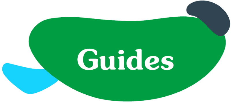 Guides