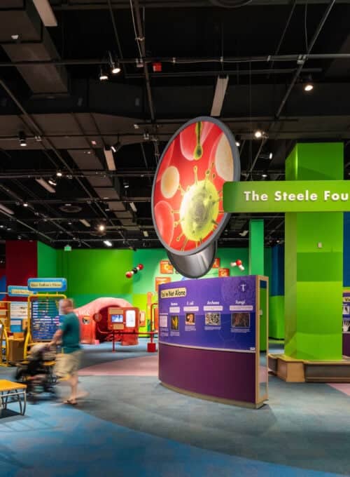 9 family-friendly Phoenix attractions for visitors of all ages