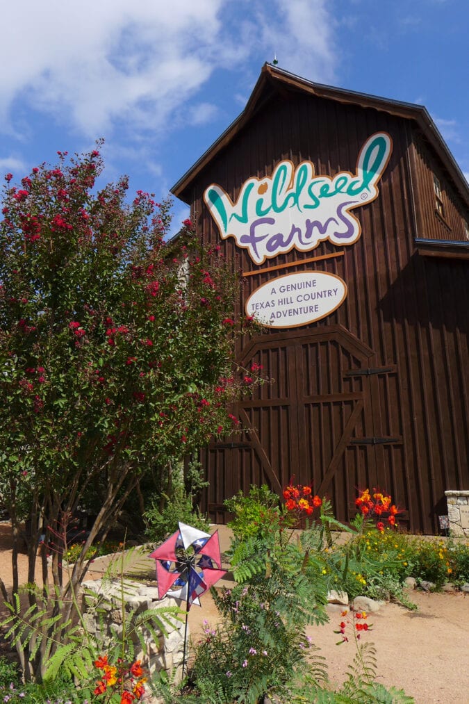 a brown barn with a sign for Wildseed Farms against a blue sky with flowers out front