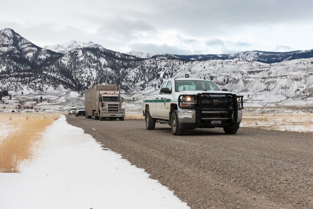 a road with a line of trucks in front of snowy mountains
