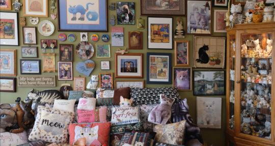 Purr-fectly quirky: This Midwest cat ‘mewseum’ attracts donations from around the world