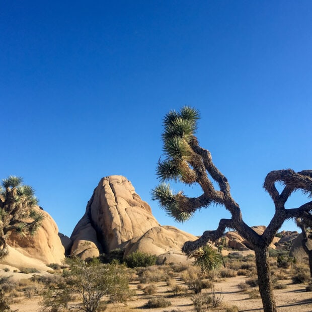 Chasing the ghost of a country rock legend all the way to Room 8 at the Joshua Tree Inn
