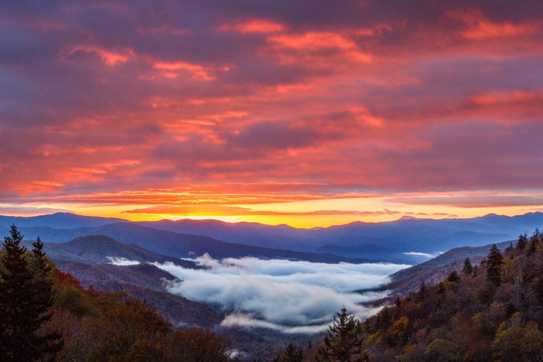 Sunset with an orange and pink sky overlooking the Great Smoky Mountains with a valley full of fog