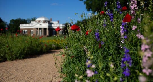 5 one-tank road trips from Washington, D.C.