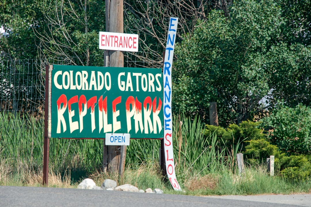 a green and red sign that says "colorado gators reptile park" near the road