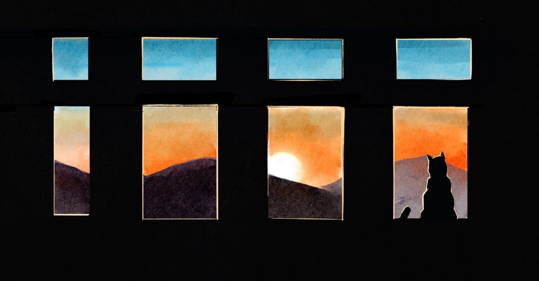 the silhouette of a cat looking out of four windows at a setting sun