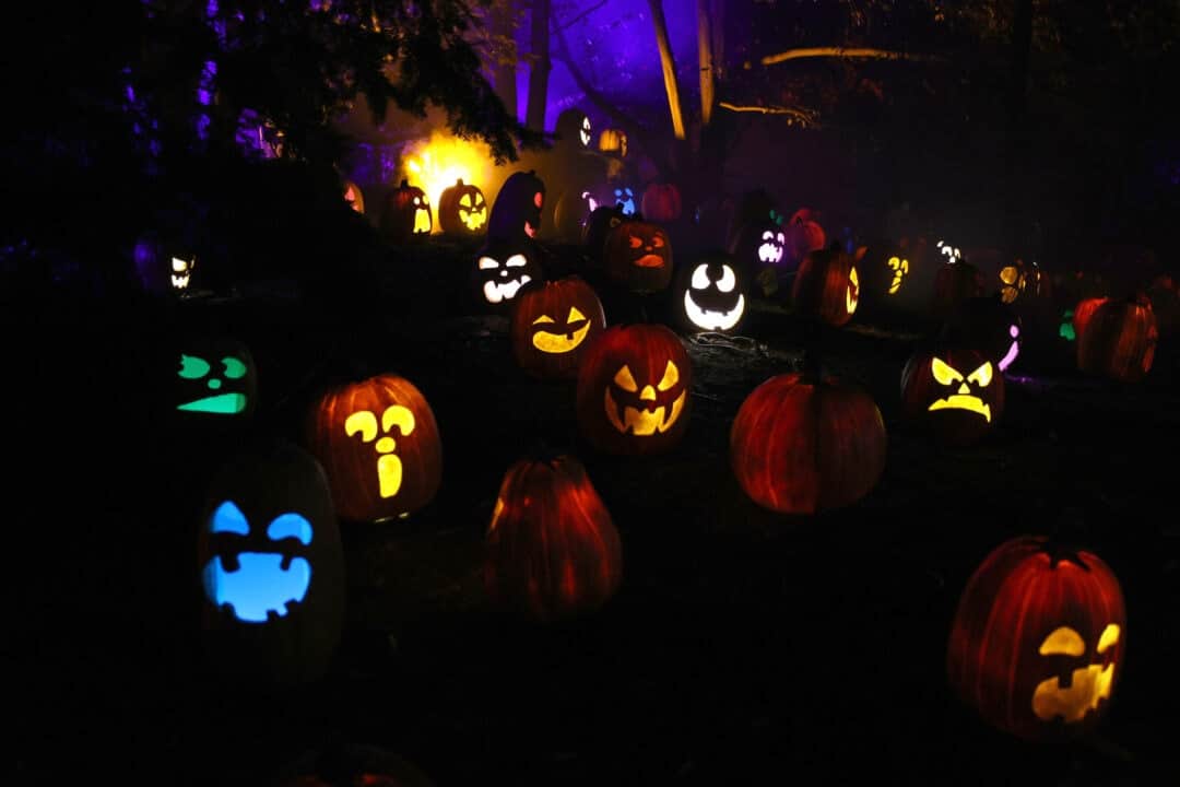 several carved jack o lanterns lit up in different colors at night, harvest nights pumpkin trail