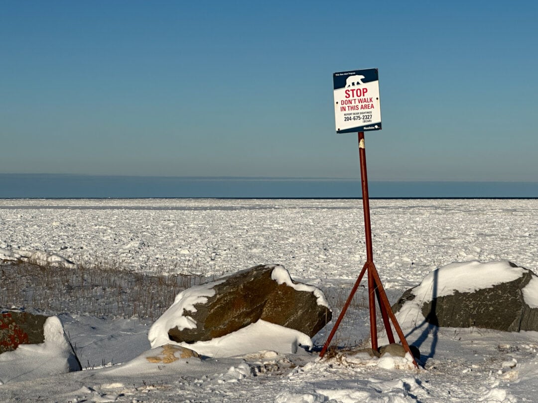 Polar bear safety signs detail the phone number to call for a bear sighting.