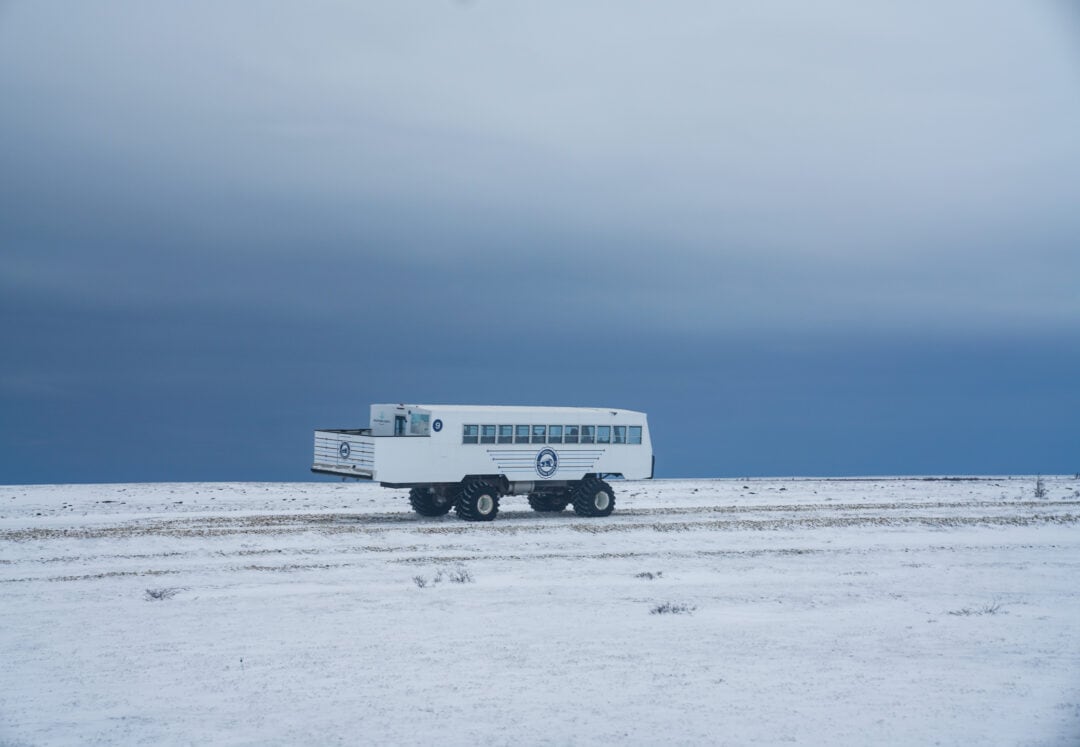 A massive tundra buggy traverses a rugged, snow-covered terrain.