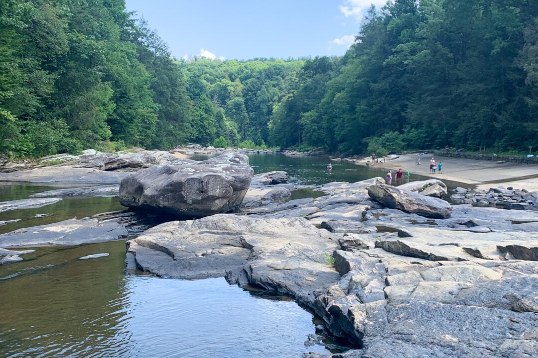 Water flows around rocks as lush green trees loom in the distance
