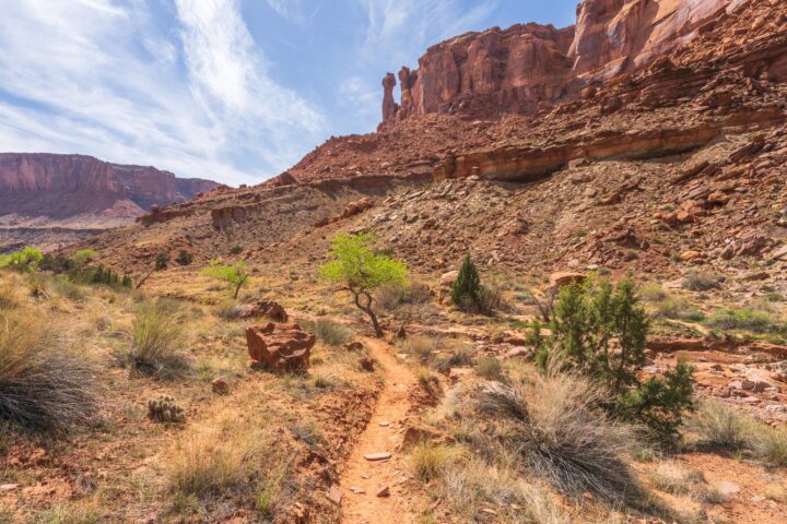 Canyonlands National Park